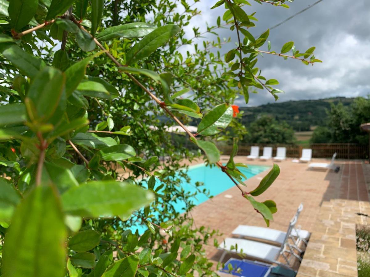 Agriturismo La Palazzetta Di Assisi Exterior photo