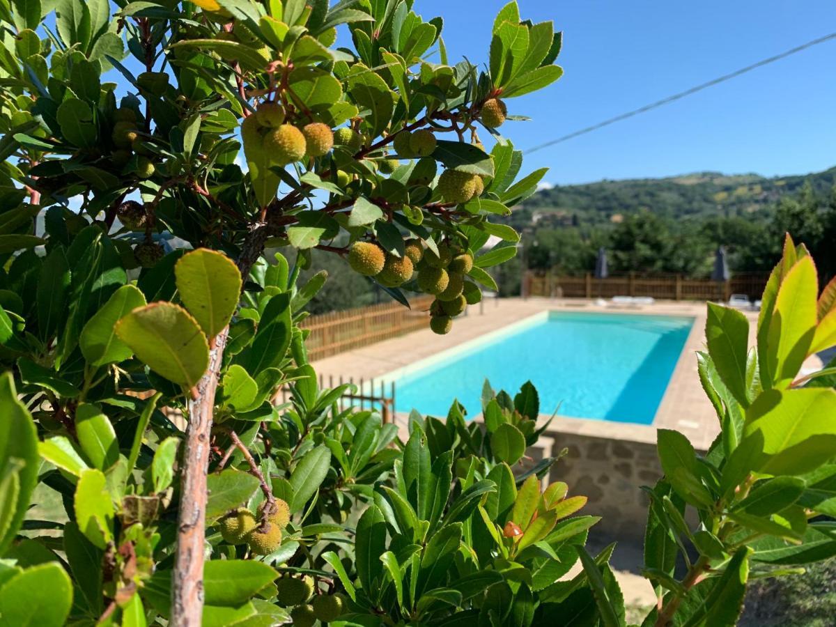 Agriturismo La Palazzetta Di Assisi Exterior photo