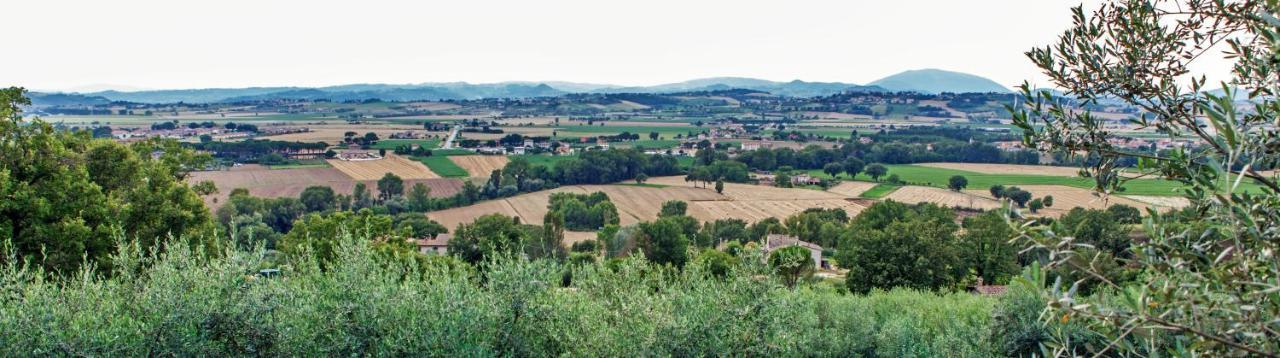 Agriturismo La Palazzetta Di Assisi Exterior photo